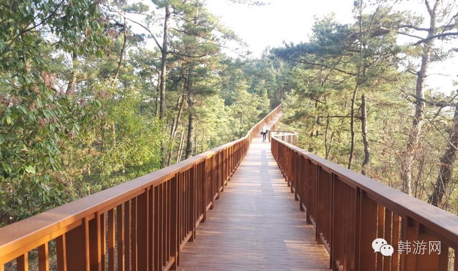 老司机的韩国南部深度游！老司机请带带我这才叫旅游！