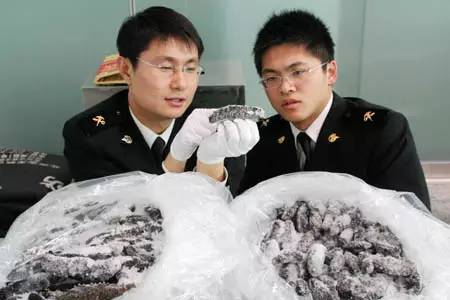 燕窝禁止入境七天退运,燕窝不能带回国吗