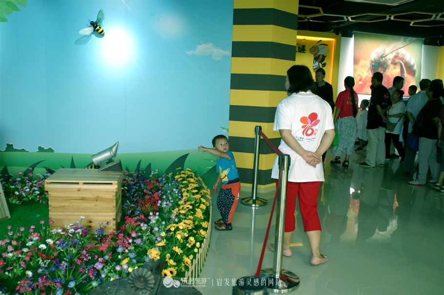 赞皇枣花,石家庄赞皇特产枣花