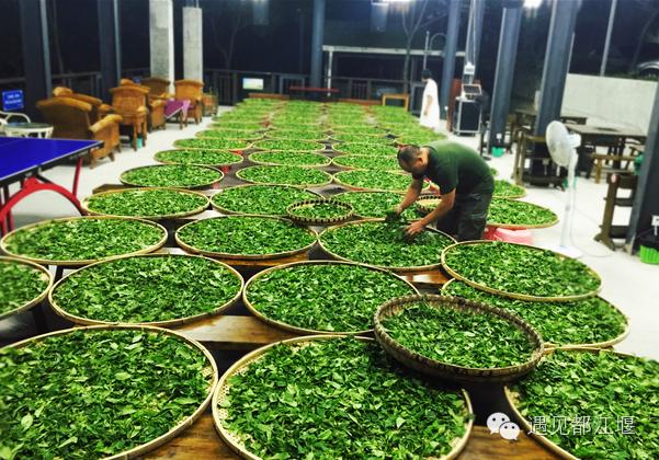 白鹭湾什么样,白鹭湾现在什么样子