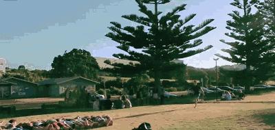 熊孩子前途不可限量,有前途的熊孩子