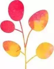 烫一次性卷发不伤发,100%不伤头发的卷发方法