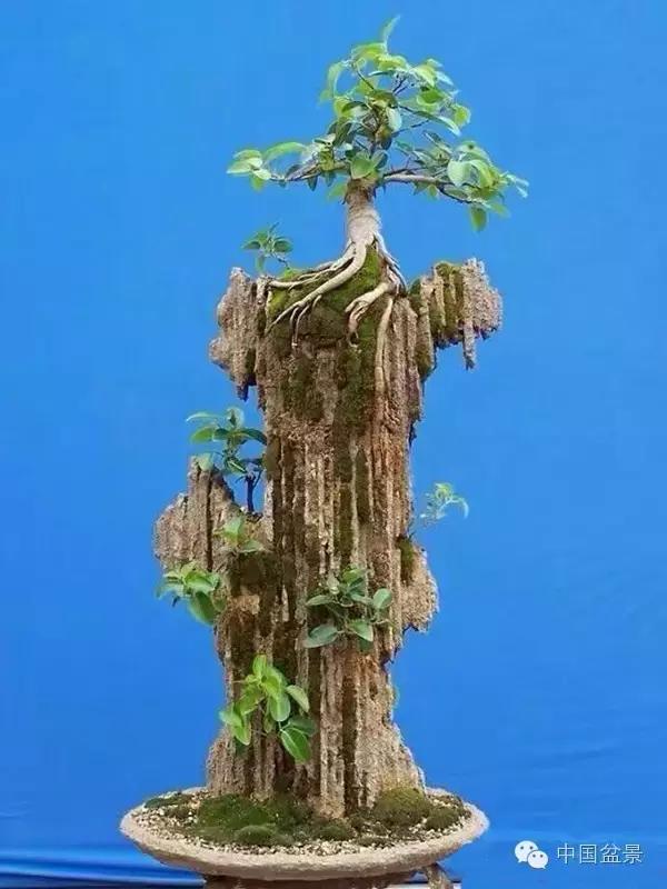 相识满天下知己有几人谁说的,相识满天下知己无一人出处