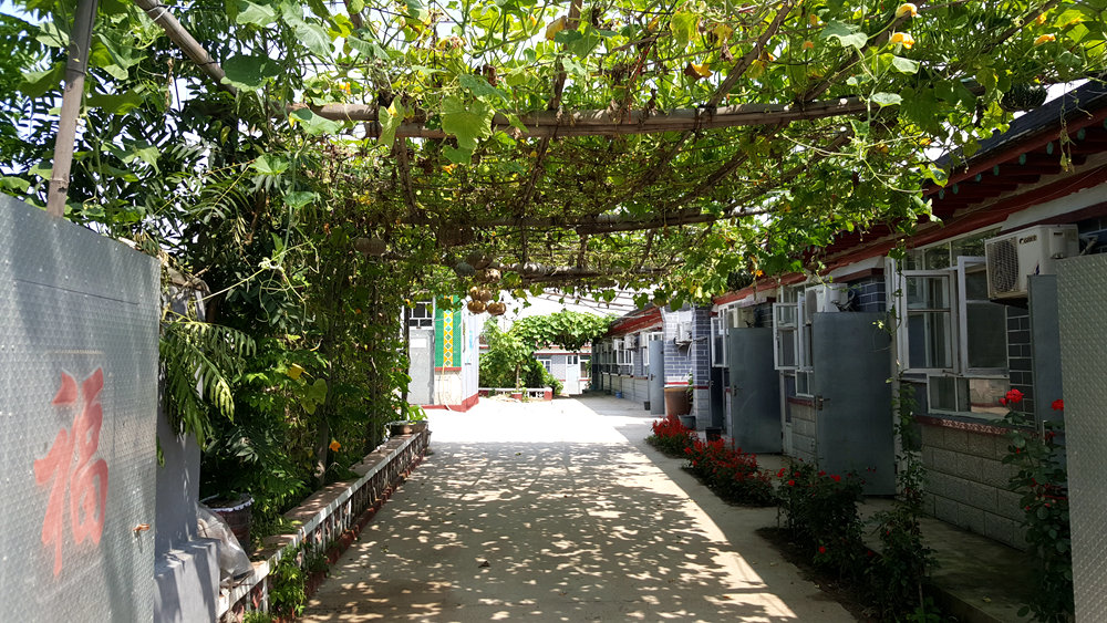 乐亭碧海渔家,乐亭碧海渔家怎么样