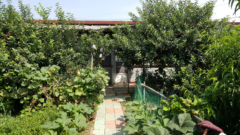 乐亭碧海渔家,乐亭碧海渔家怎么样