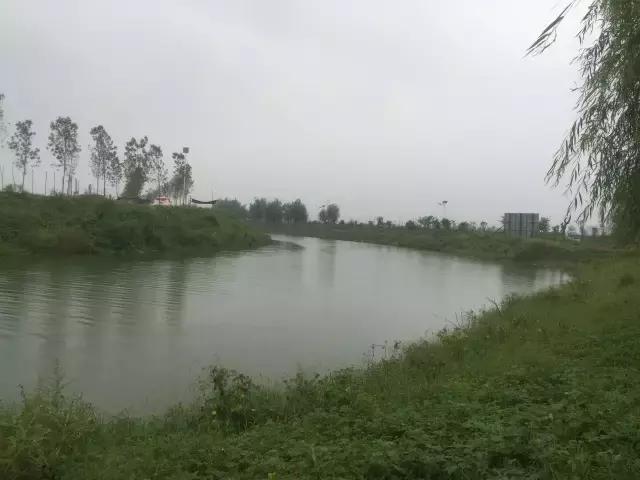 南乐西邵荷花池,南乐县西邵乡荷花池