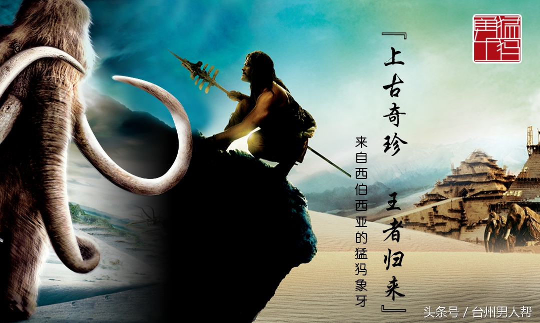 冰封数万年的猛犸象,藏传老猛犸象牙