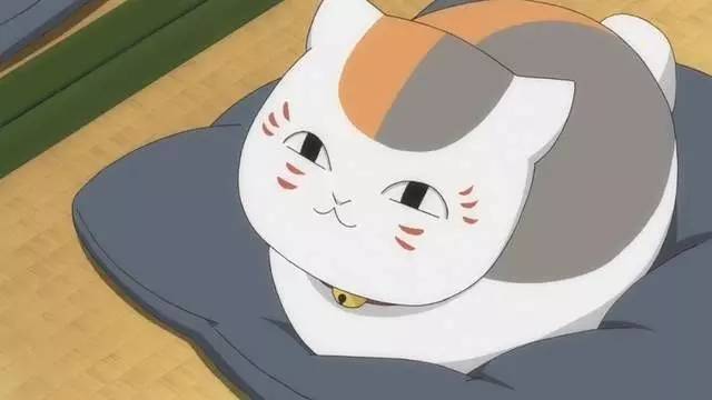 「TOP」最希望能成真的动漫猫咪TOP10 娘口三三勇夺第二