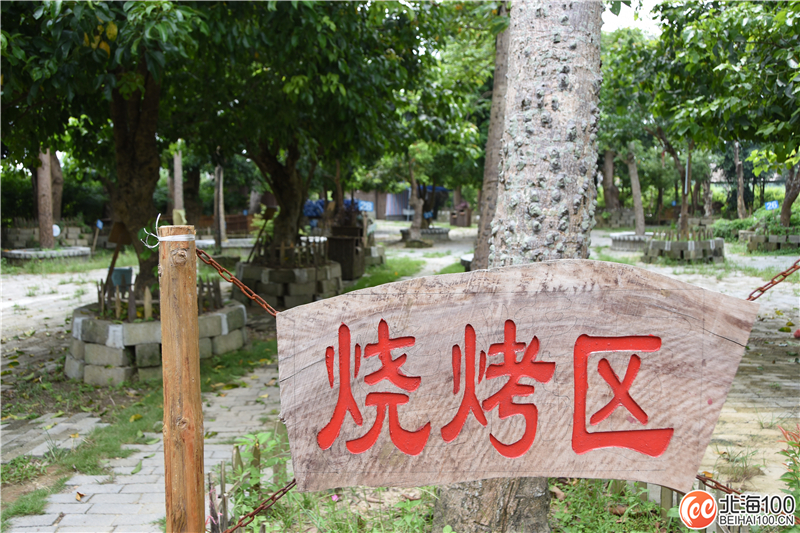 周末去哪儿玩？小编带你去合浦七里香茶庄园和石康镇“小村故事”