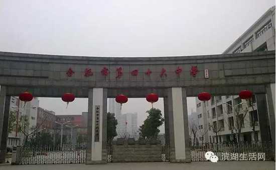 学区大还是片区大,滨湖新区哪个学区好