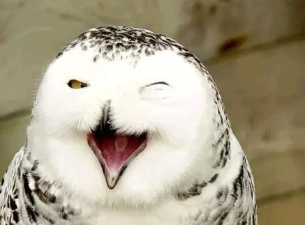 夏天怎么祛除上火痘痘小妙招,夏天上火长痘该吃什么