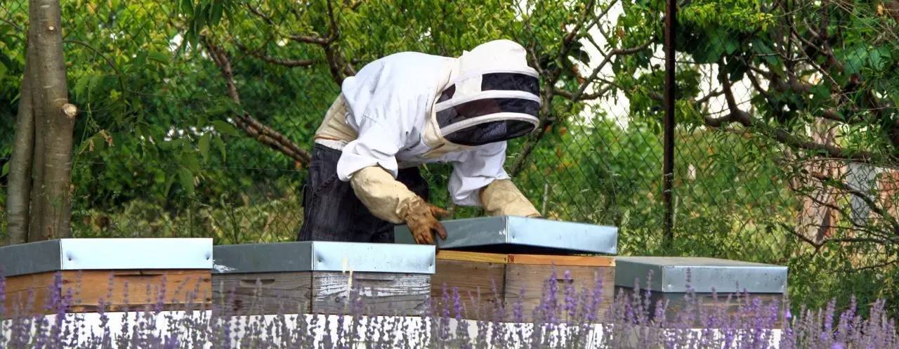 老中医蜂蜜系列,老中医秘制蜂蜜