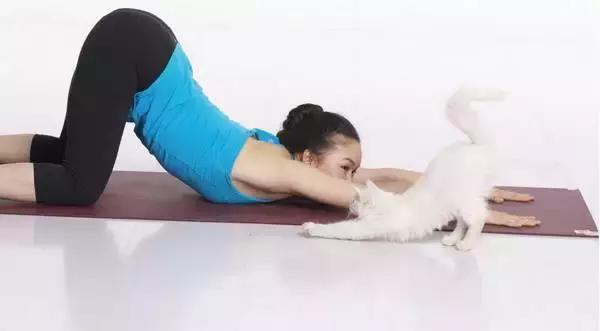 瑜伽让您的卵巢得到放松