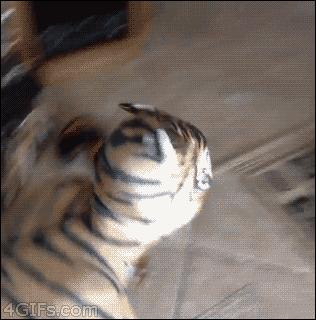 恐怖gif女生,韩国恐怖电影女孩诡异的笑图片