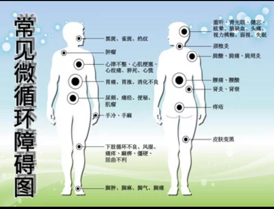 人的微循环障碍改善表现,微循环障碍对人体的影响