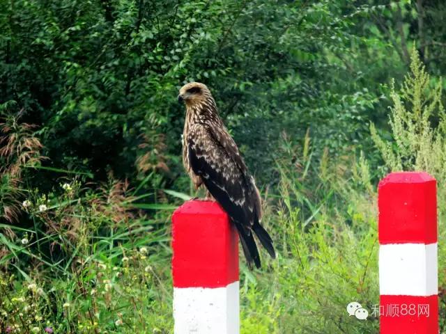 和顺县上元村太行山,和顺县自然风景