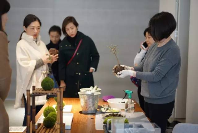 奥运风已经刮走了，九月魔都却即将迎来另一股旋风···