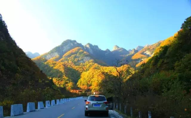 四年级上学期古诗词大全必背,开学了的古诗