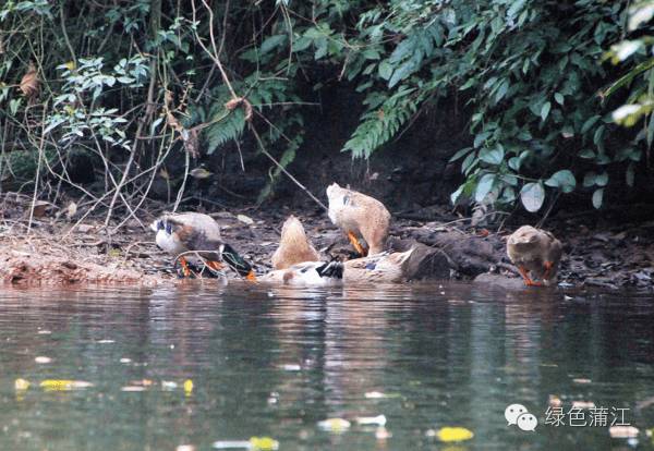 抓住夏天的尾巴去旅游,抓住夏天的尾巴游玩漓江