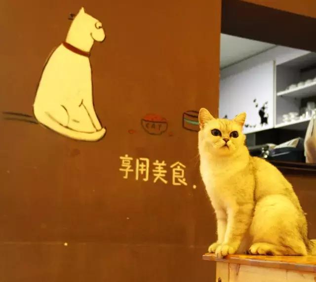 搴楅摵閲囪,搴楅摵涓撹