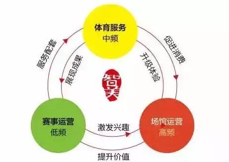 智美体育业绩大全,智美体育2018营收