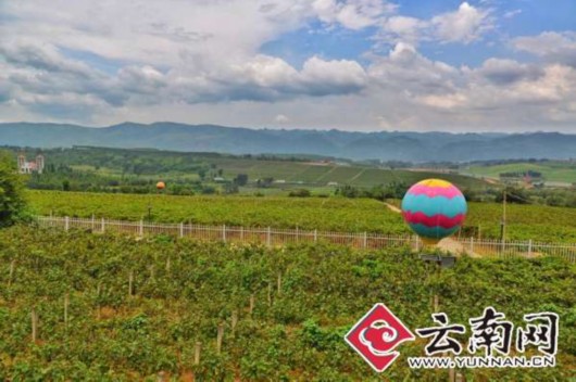 来一场都市逃跑计划他们只愿醉在弥勒不想走