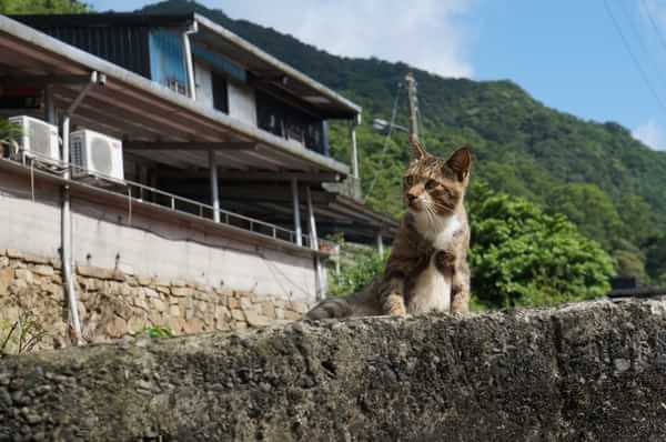 在台湾流浪14天~火星人的环岛路线！