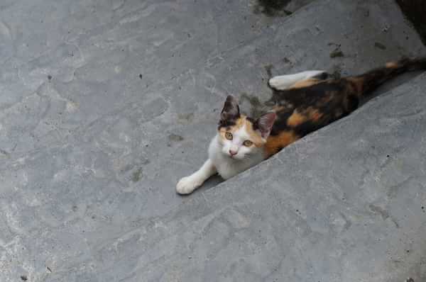 在台湾流浪14天~火星人的环岛路线！