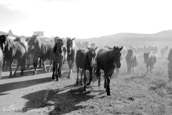 现在的古装剧都在哪里取景的,古装剧拍摄旅游地