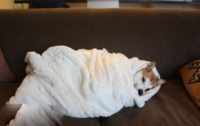 1688鐜╂父鎴忕綉,1688鐜╂墜娓哥綉