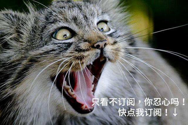 p2p分享怎么关闭,p2p给我们带来了哪些教训