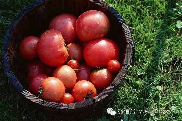 这5种食物对于抗癌竟然有奇效,这六种东西竟能防癌