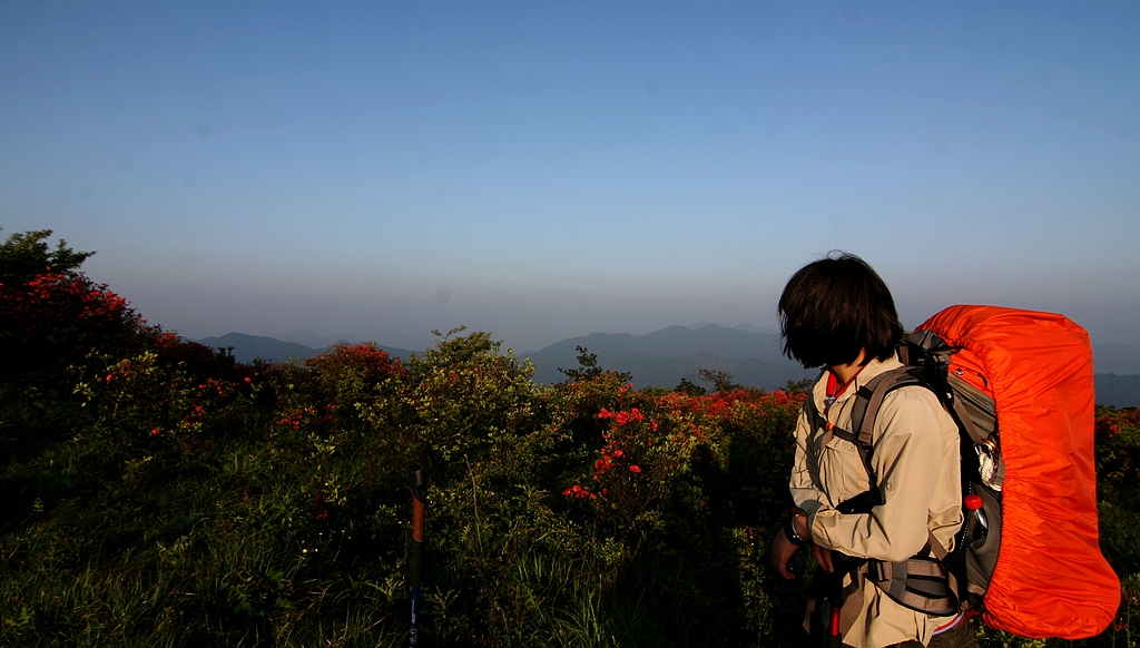 涨知识了以后注意事项,涨知识了该注意什么