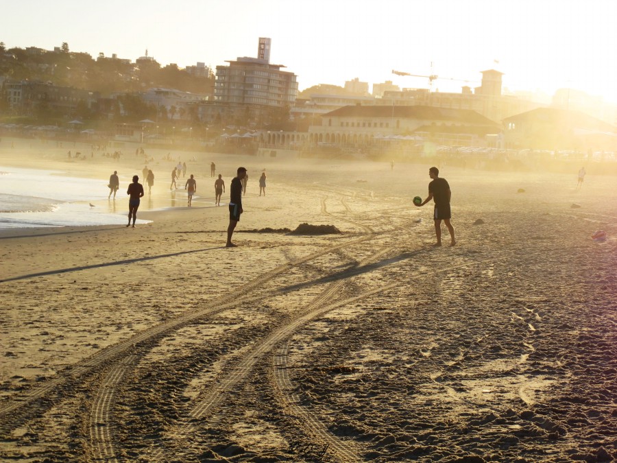 悉尼是啥味道,悉尼盐蚝