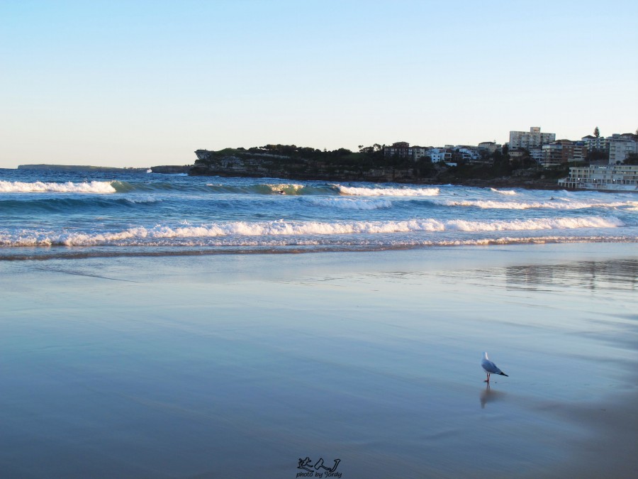 悉尼炎热,悉尼潮湿还是干燥