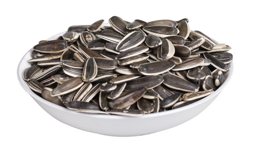 论一口好牙的正确性,一口好牙证明什么