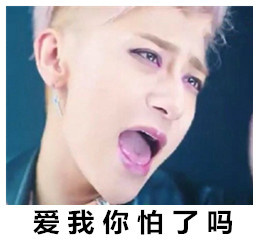 黄子韬最爱的表情包,黄子韬表情包强势登场