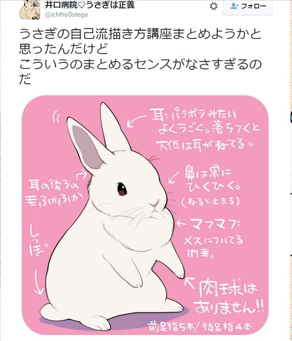 养了很久的兔子有灵性还是死了,养了两年的兔子