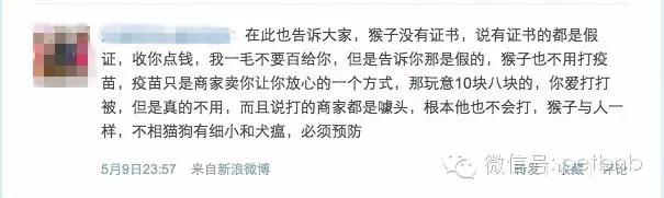 家养小宠物猴,养刚生下来的小猴子当宠物