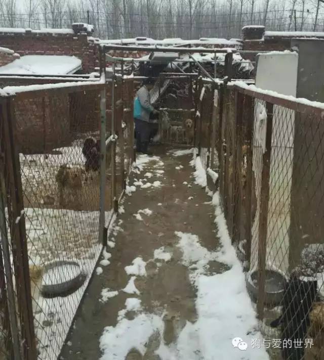 他们是最可爱的人作文350字 (他们是最可爱的人作文)