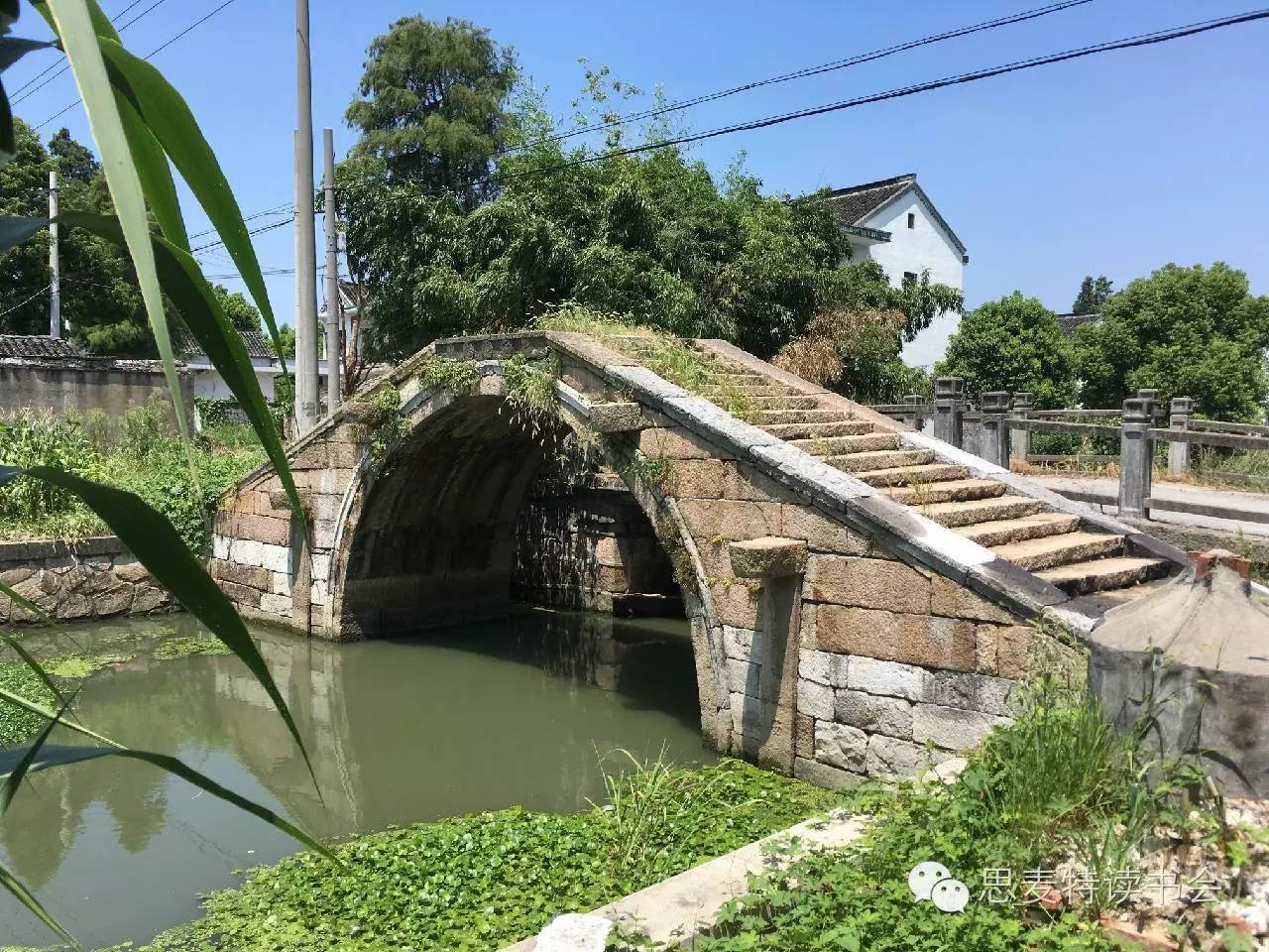 书友佳作｜隐逸在吴江世外桃源的老桥