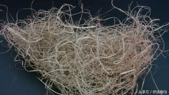 爱迪生的“天方夜谭”与灯泡,你以为很简单吗?