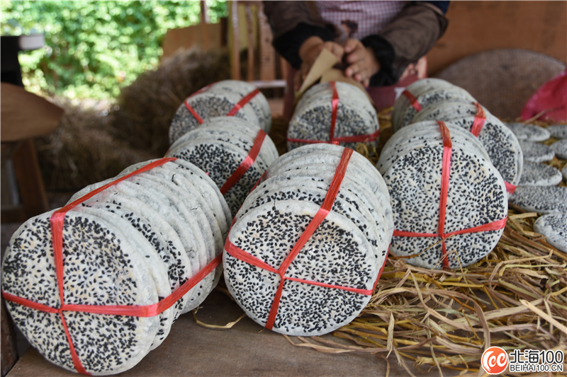 周末去哪儿玩？小编带你去合浦七里香茶庄园和石康镇“小村故事”