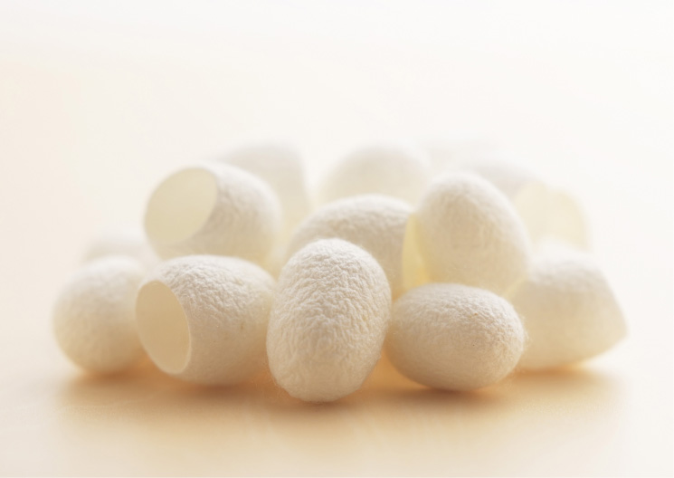 蚕茧制面膜,蚕茧泡水里做蚕丝面膜