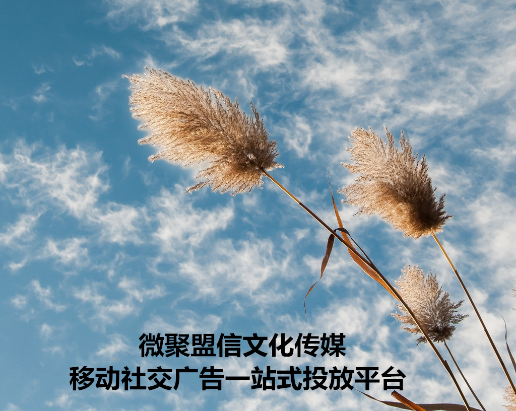 微信朋友圈不能看到哪些信息,微信朋友圈为什么会被官方屏蔽