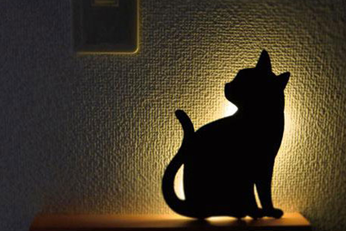 中秋节最适合什么礼物,既平价又实用的中秋节礼物推荐