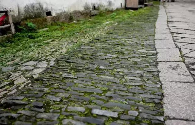 保定周边免费看红叶最佳旅游地点,保定周边一日游看红叶自驾游