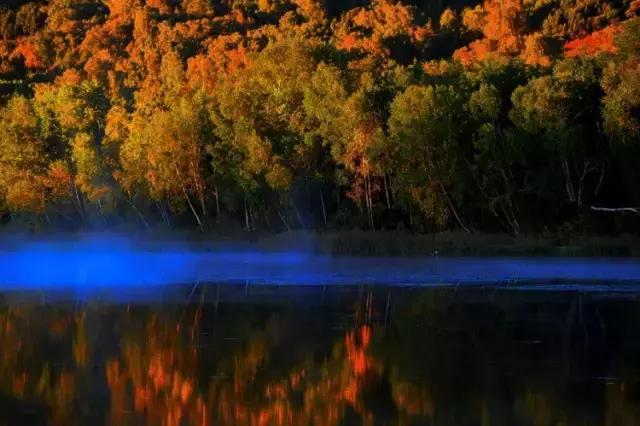 保定周边免费看红叶最佳旅游地点,保定周边一日游看红叶自驾游