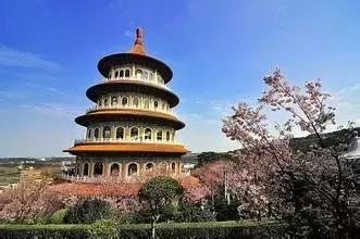 与摄影师骑行脚踏车体验台北市民生活