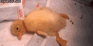 护肤彩妆哪些不能买,护肤美妆测评打假怎么办